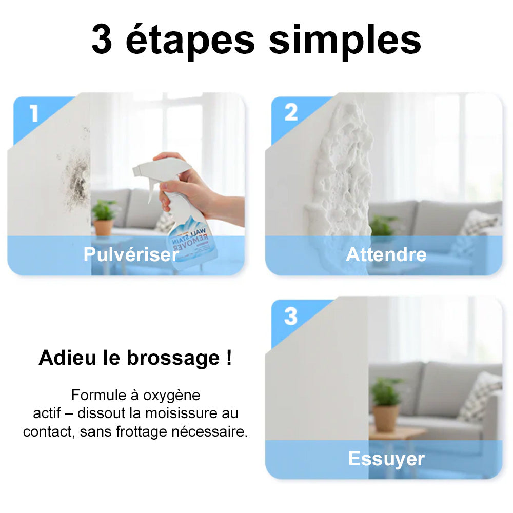 🆙 Spray anti-moisissures très efficace – empêche la repousse des moisissures. Protège la santé de votre famille et la vôtre