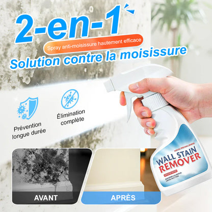 🆙 Spray anti-moisissures très efficace – empêche la repousse des moisissures. Protège la santé de votre famille et la vôtre