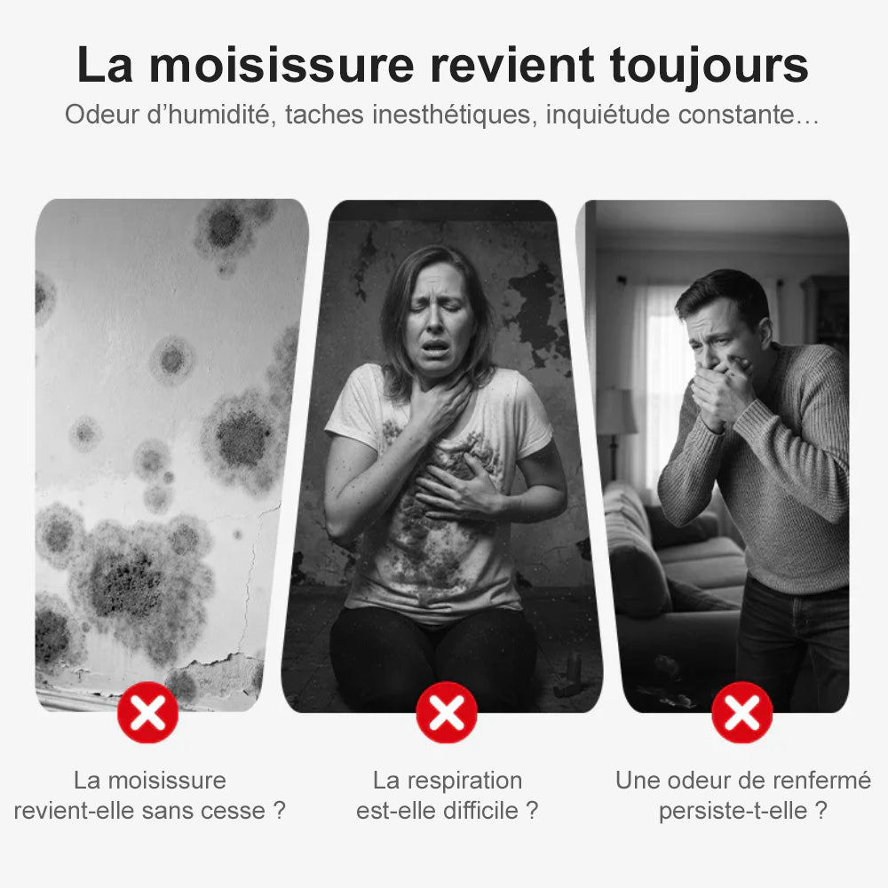 🆙 Spray anti-moisissures très efficace – empêche la repousse des moisissures. Protège la santé de votre famille et la vôtre