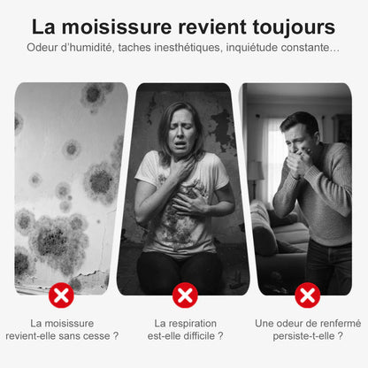 🆙 Spray anti-moisissures très efficace – empêche la repousse des moisissures. Protège la santé de votre famille et la vôtre