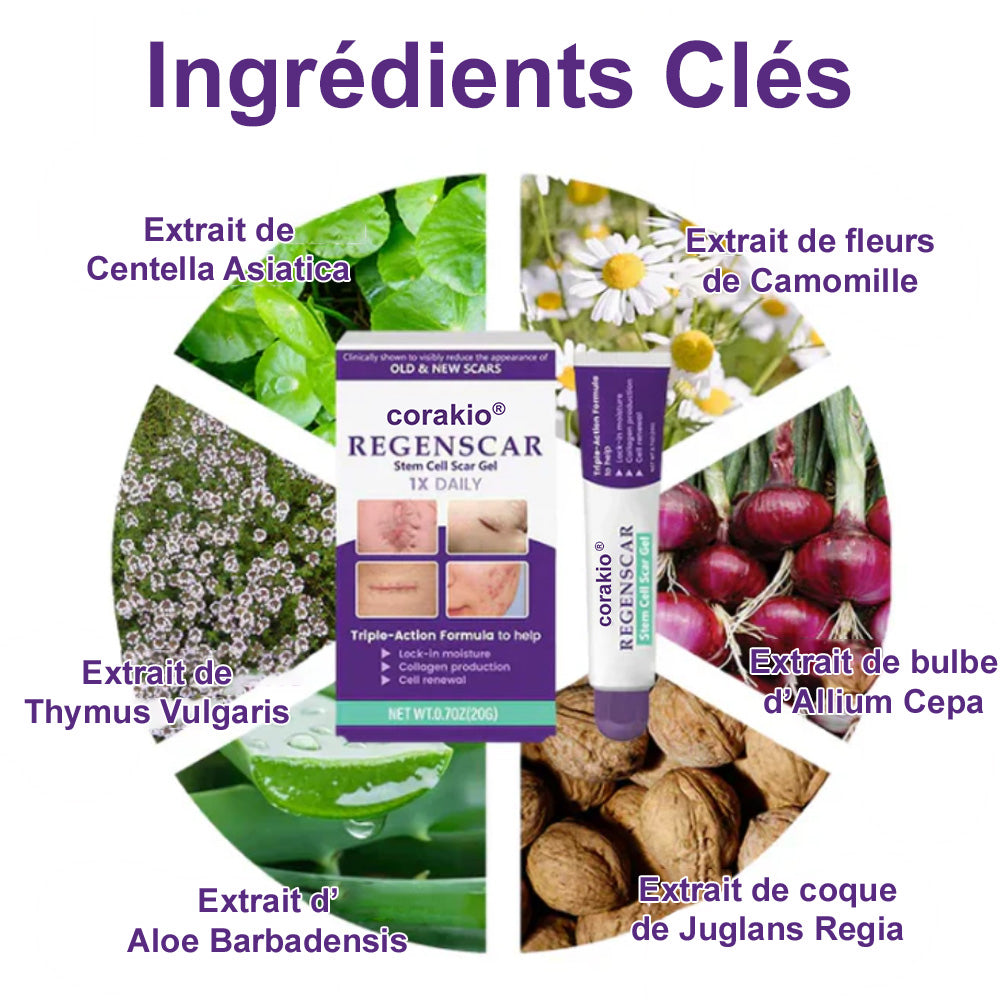 🌸Gel Réparateur Anti-Cicatrices – Amélioration Visible en 7 Jours