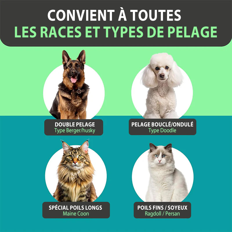 💕🐱corakio® Peigne de Toilettage Double Face – Pour Chiens & Chats 🐶🐱